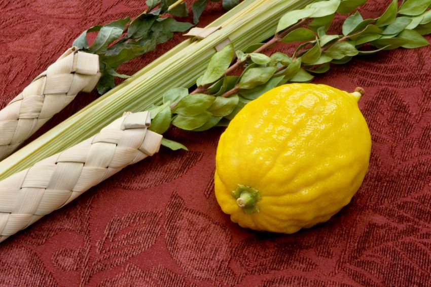 Shabbat Gathering: A blessing for Sukkot.