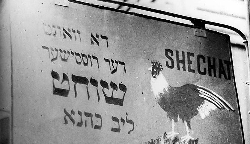 Shabbat Gathering: Renewal and redemption.